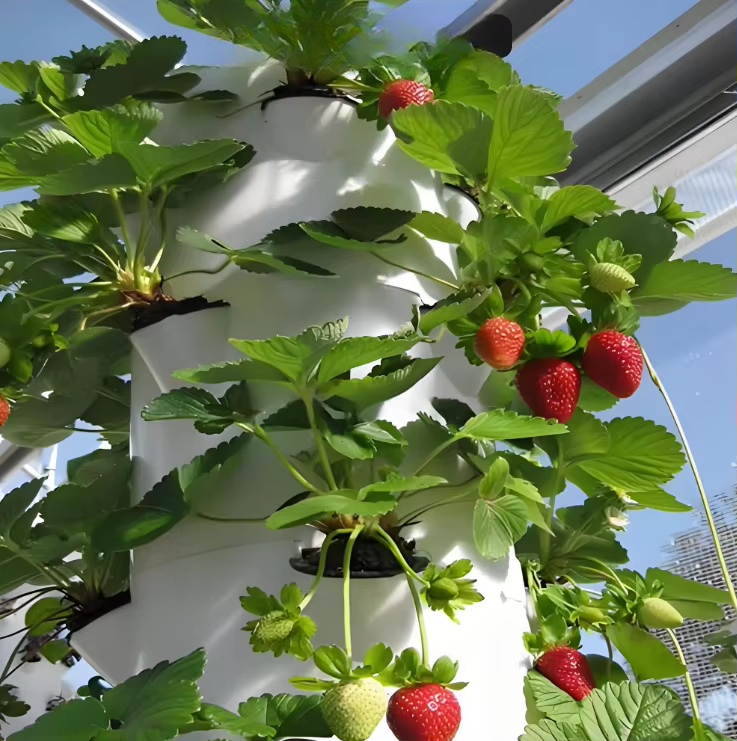 Sistema modular hidropônico de - Urban Farming Garden avaliação e preço